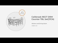 Caitbrook Gray Counter-Height Dining Set